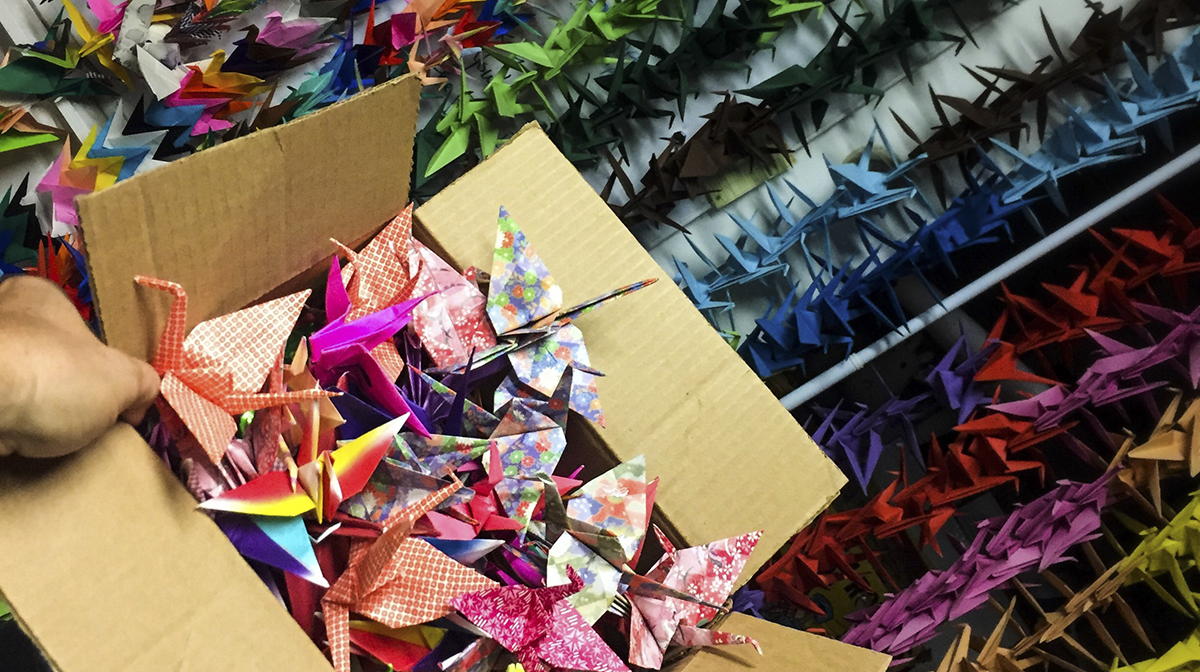 A cardboard box full of colourful origami cranes, with rows of cranes in the background.